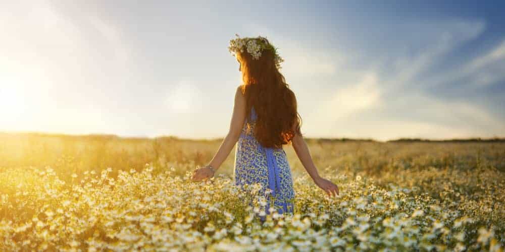 AUME – Daisy Story